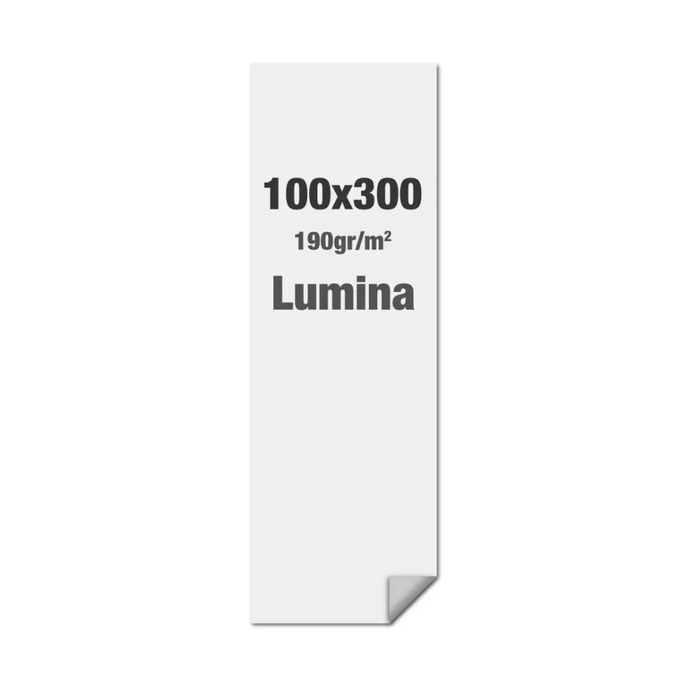 Brightbox Pro Flex Wand 100 x 300 cm Print Lumina