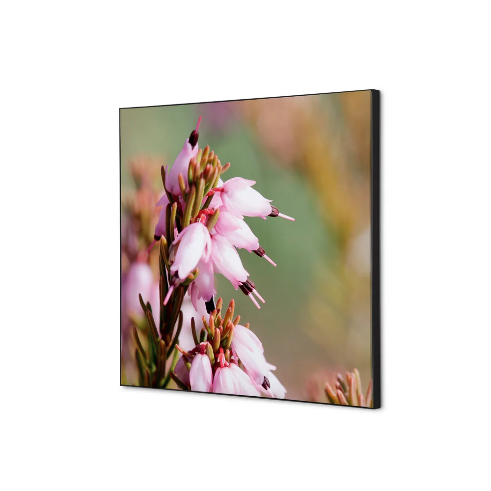 Spannstoff Wanddekoration SET 40 x 40 Pinke Blume Erica