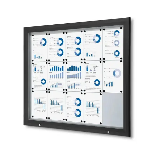 Schaukasten Außen Premium 15xA4 RAL 9005